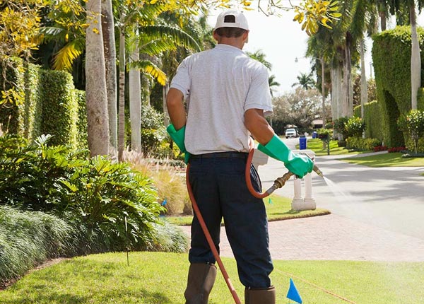 About Woodbury CT Pest Control